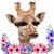 Lois M Marquez's profile image