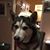 Ina Sloop's profile image