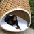 Lynnell Owens's profile image