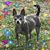 Karen White's profile image