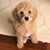 Sandra Grigsby Barfield's profile image
