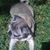 Evelyn Self's profile image