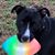 Christine Uster's profile image