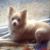 Faye Hnath-Schwartz's profile image