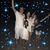 Fabiana Clifton's profile image