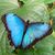 Jennifer Senn's profile image
