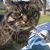 Meredith Ludford's profile image