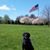 Judy Jernegan's profile image