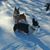 Janet Murdoch's profile image