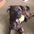 Sue Fiscus's profile image