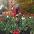 Gloria E. Diez Massoterapeuta's profile image