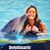 Darla Decker Volke's profile image