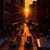 Shadya Farraj's profile image