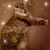 Cathie Apgar's profile image