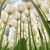 Sherri Lee Hughes's profile image