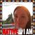 Donna Jackson Koehrsen's profile image