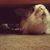 Beth Aylward's profile image