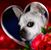 Ronda Eckhardt's profile image