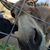 Tamara Fager Harris's profile image