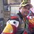 Damien Tarda's profile image