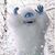 Kerry Covey's profile image