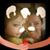 Annie Morgan's profile image