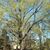 Stan Carajo Gwinn's profile image