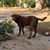 Gayle McFadden's profile image