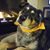 Jerilynn Hedden's profile image