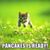 Kathleen B. Shannon's profile image
