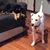 Adele Sondermann's profile image