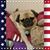 Lilly Michel's profile image