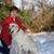 Brenda Sexson's profile image