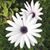 Elizabeth Bernhardt's profile image