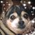 Maria Testa's profile image