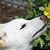 Cathy Green Nielsen's profile image