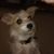 Diana Dubberly's profile image