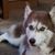 Dawn Kunkle's profile image