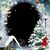 Lori Humbert's profile image