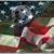 Sam Harrison's profile image