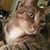 Elizabeth Irby's profile image