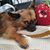 Anke Hartung's profile image