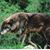 Jo Bradley's profile image