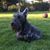 Tracy Price's profile image