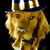 Paula Goble's profile image