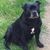 Jon Sansom's profile image