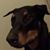 Bill Bradsky's profile image