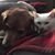 Heather Slusar's profile image