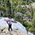 Maribel Barut Catapang's profile image