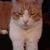 Julie Chacon's profile image